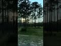 Apalachicola Forest park