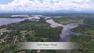 Caño Negro Wildlife Refuge, Costa Rica. A birdwatching hotspot for any birder and photographer