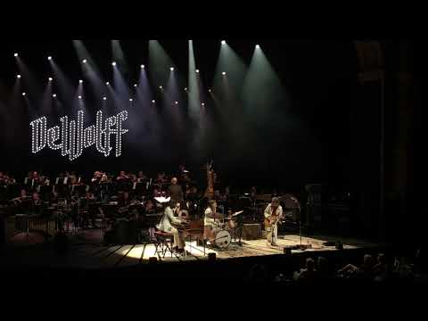 DeWolff & Metropole Orkest - Yes You Do - Live at Carr