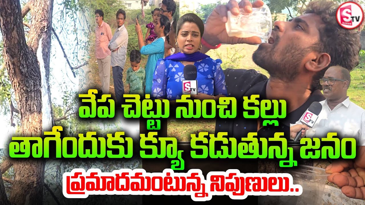 వేప చెట్టునుండి కారుతున్న కల్లు | Toddy Water From Neem Tree? | Shocking Viral Video From Kakinada