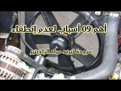 فيديو: مراوح بلاستيكية لا تتوقف