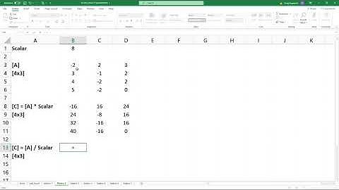 Excel Module 3   Matrix Multiplication by a Scalar