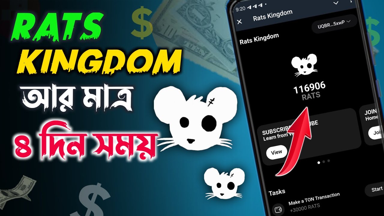 50000 Rats Rats Kingdom 5 friend invite 50000 RATS | Rats Kingdom Airdrop | Rats ...