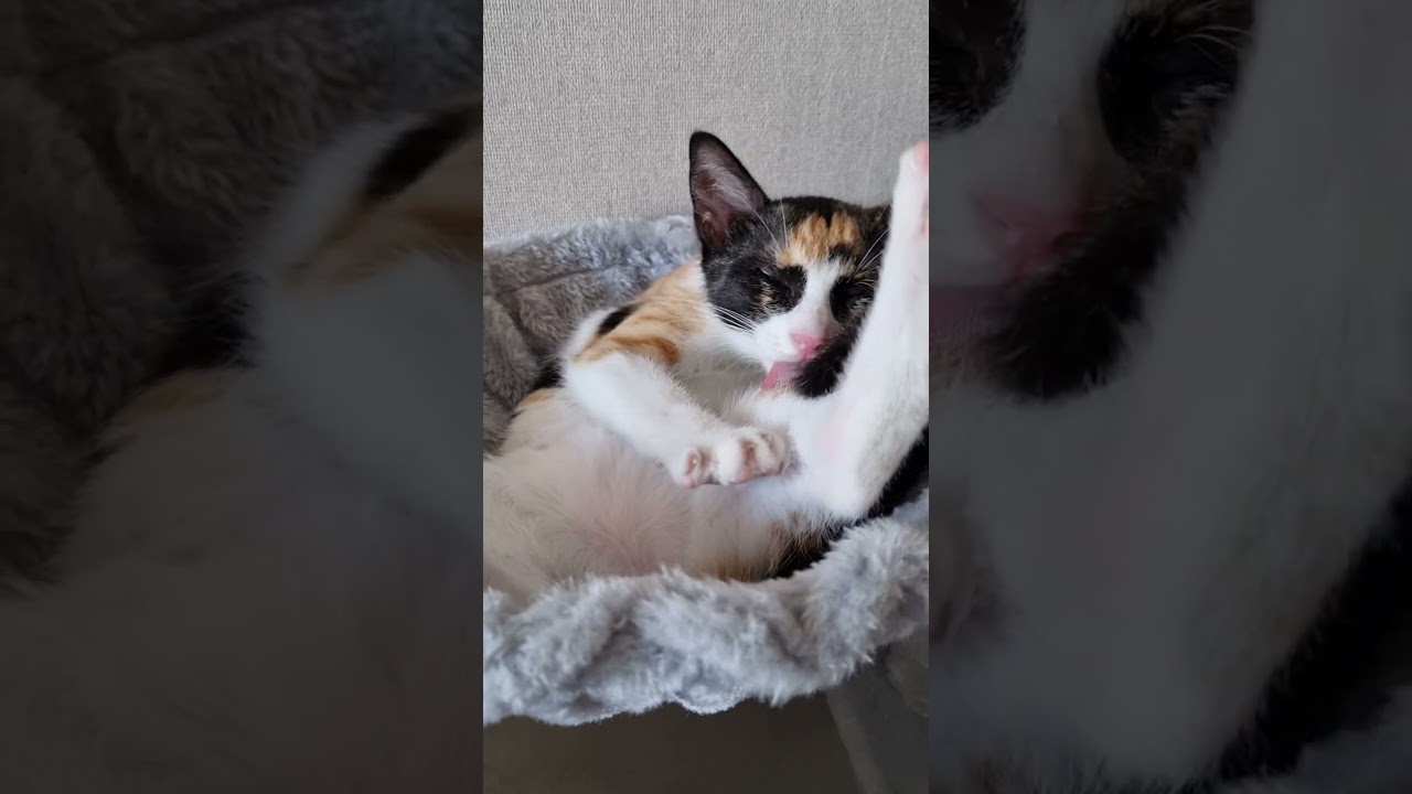 Устала мыться)))