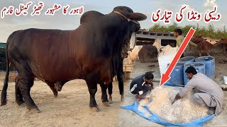 Desi Fattening Wanda for Qurbani Animals Lahore Famous Theater Cattle Farm 2024 #cattle #bakramandi