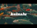 Kainalu  folds like origami official audio