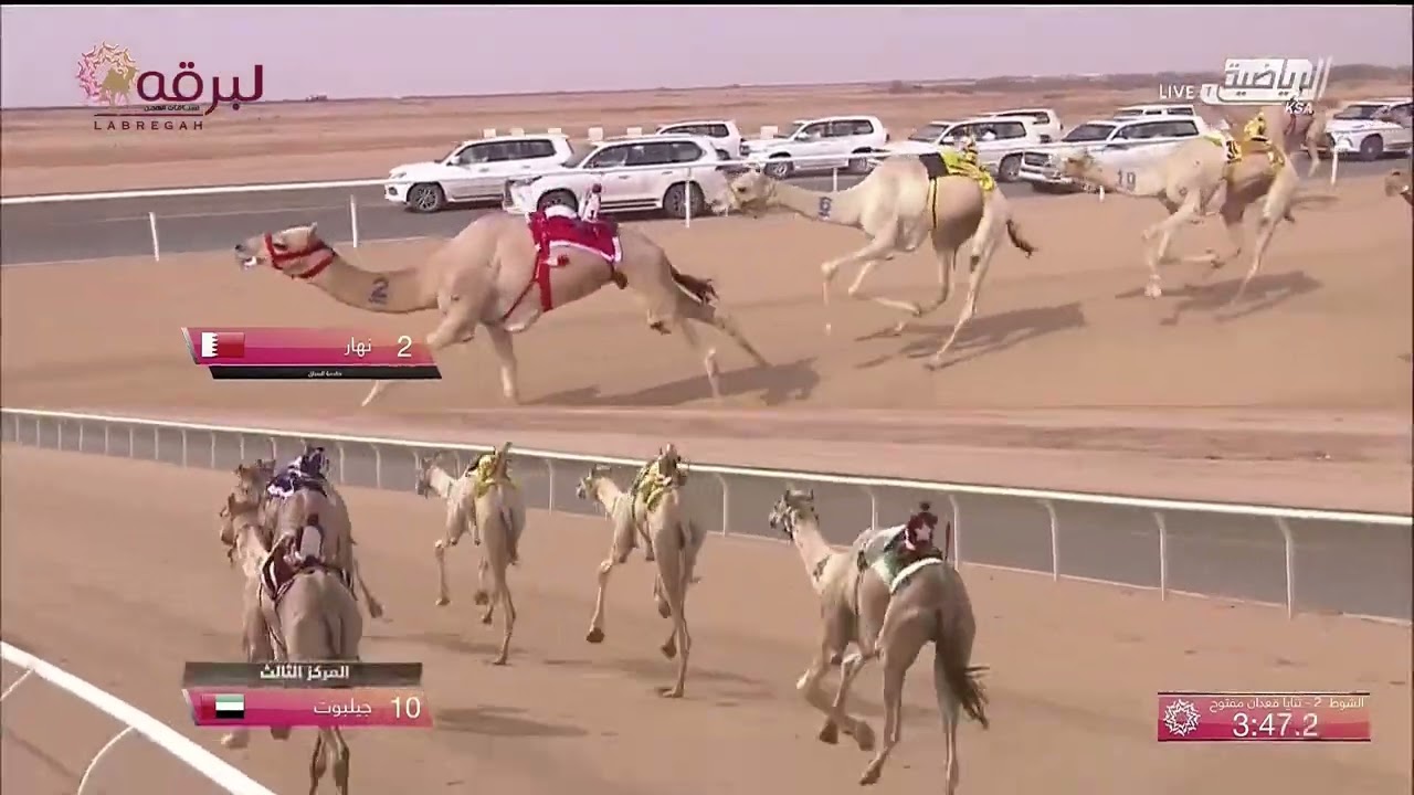 ش2 جيلبوت لـ محمد حمد فطيس المري (مهرجان ولي العهد بالسعودية -مساء 8-8-2022) ثنايا قعدان 8:23:06