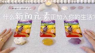 什么新的元素🔦正在加入你的生活？坚持下去✊你就会成功🎊塔罗占卜