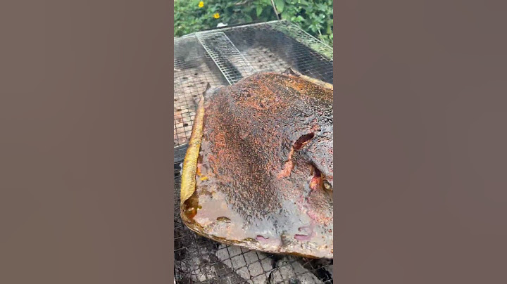 what fish is this? |Chinese Mountain Forest Life And Food #MoTiktok #Fyp