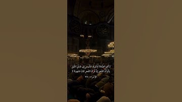 سورة الإسراء الآية ٧٨ القارئ : أحمد أمين