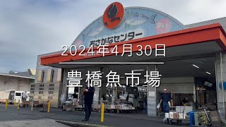 【ホタルイカ】日本一激安価格で売る市場『豊橋魚市場』極秘の朝市