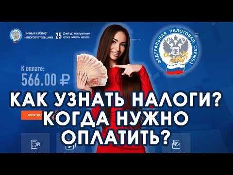 Как и когда платить налоги на имущество онлайн через личный кабинет налогоплательщика