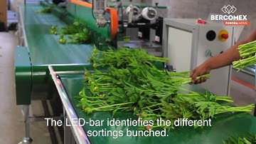 La Sica Marché aux Fleurs d