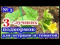 █ 3 ЛУЧШИХ ПОДКОРМОК ДЛЯ ОГУРЦОВ ТОМАТОВ и... ч.3 // Удобрение СВОИМИ РУКАМИ