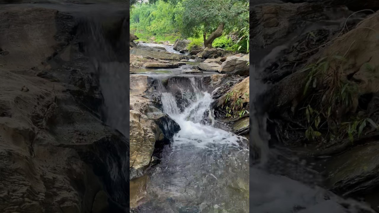 Went on tracking| Aravalli hills| Rayta Hills ￼Udaipur| Udaipur vlog |Udaipur Hills|tracking Udaipur