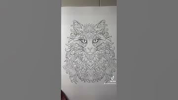 #Cats adult coloring book. Today’s cat: Norwegian forest cat #Cat, #AdultColoringBook #Mandalas