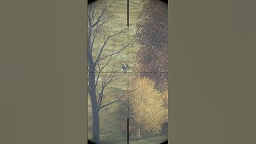 DayZ | Someone is Always Watching 👀… #dayz #dayzxbox #dayzclips #dayzconsole #dayzps5