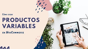 Cómo crear productos variables en WooCommerce — WordPress