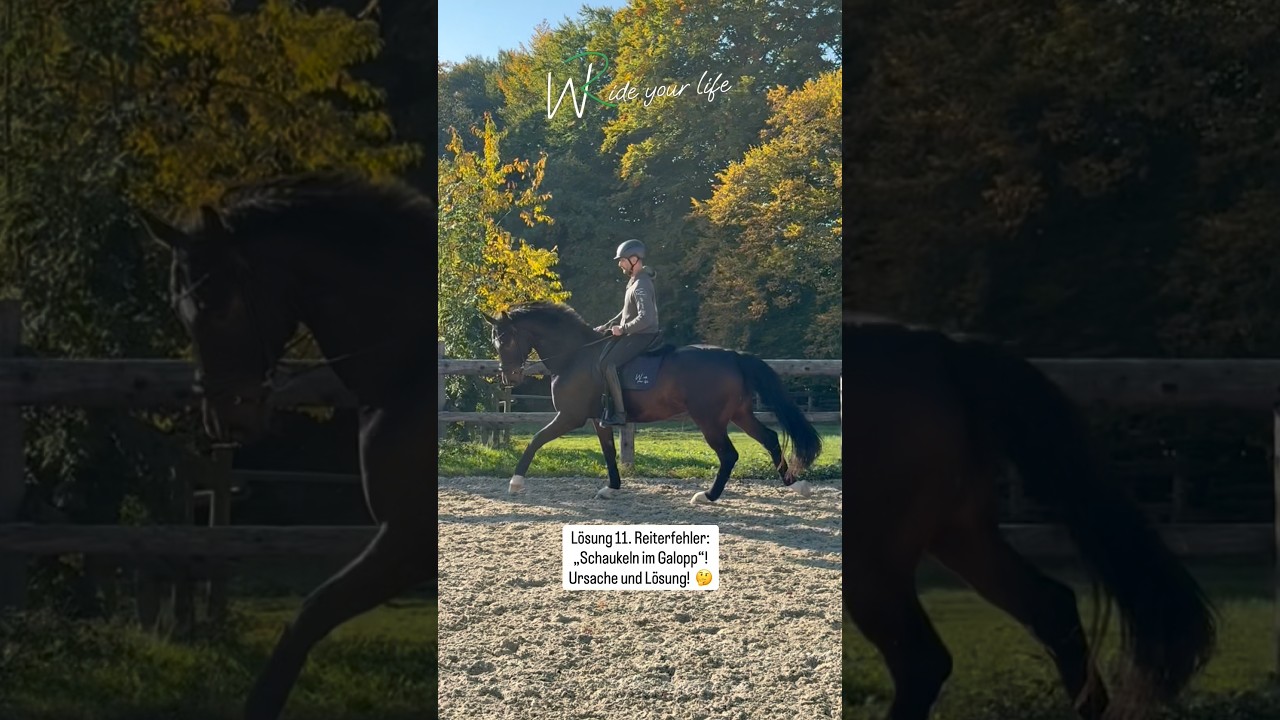 11. Reiterfehler: Schaukeln im Galopp- Ursache und Lösung zum sofort am Pferd üben!