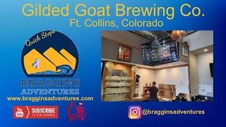 Gilded Goat Brewing Co - Fort Collins Colorado