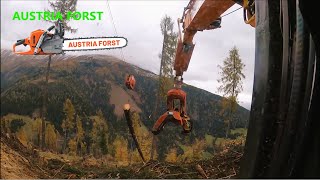 So macht die Arbeit Spaß by Austria Forst 4,105 views 2 days ago 11 minutes, 15 seconds