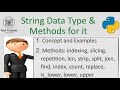 String Data Type &amp; Useful Functions / Methods in Python