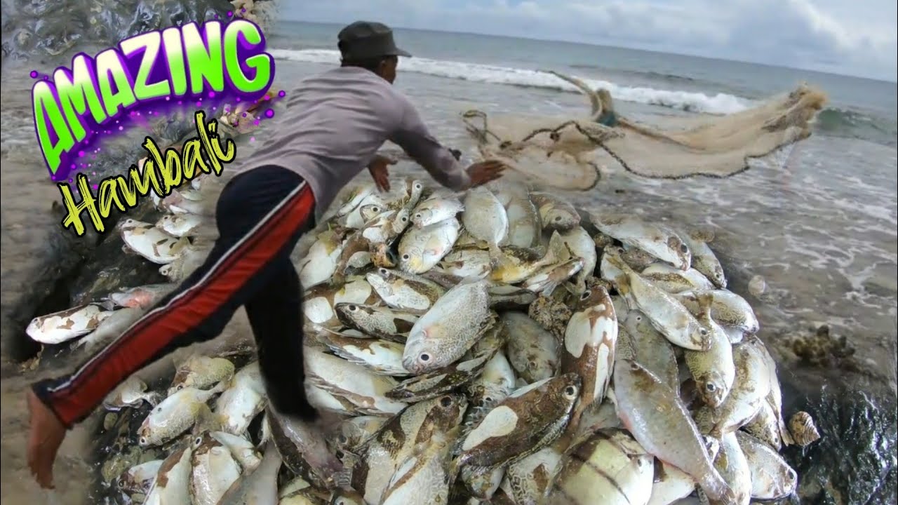 MENAKJUBKAN..!!sekali tebar penuh ikan.!menjala ikan dekat ombak Hasil melimpah.!