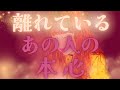 【切なさと興奮が、、☯️🥂】離れているあの人の本心💜🌙ビックリするほど愛が溢れる展開あり💖🎉距離の空いた関係、音信不通、複雑恋愛、障害のある恋、遠距離、疎遠🪐