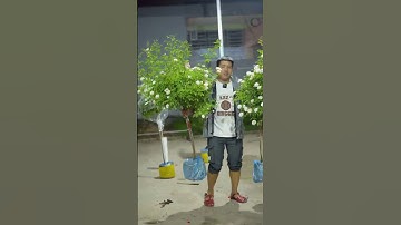 0386700914các loại hoa và cây cảnh của các nhà vườn mời mọi người chiêm ngưỡng