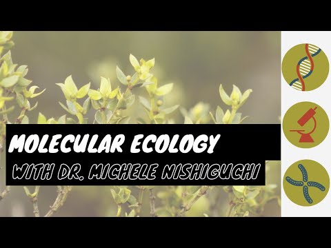 Molecular Ecology with Dr. Michele Nishiguchi
