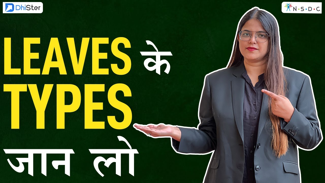Types of Company Leaves in India | Employee Leaves Types in India  