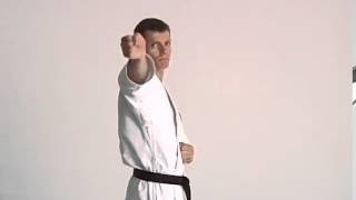 Basic Strike - Back Fist