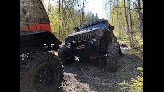 Эвакуация из леса Jeep Wrangler Rubicon