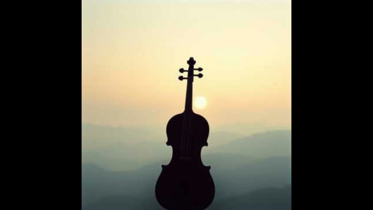 Cul de sac - Princess Wuffi