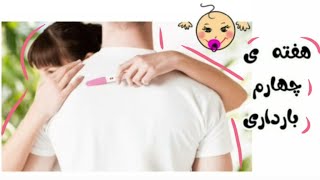 هفته ی چهارم بارداری.بارداری هفته به هفته
