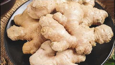 Commercial Use Ginger Juice Processing Machine Line