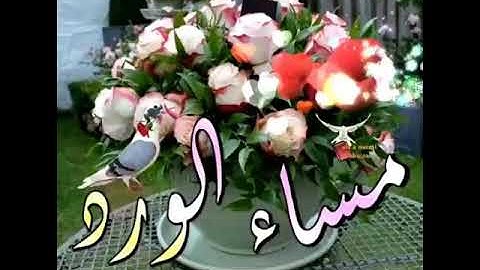 حالات واتس اب مسائية قصيرة /🌷اذكار المساء /🌷 مساء الخير 🍃حالات مسائية دينية
