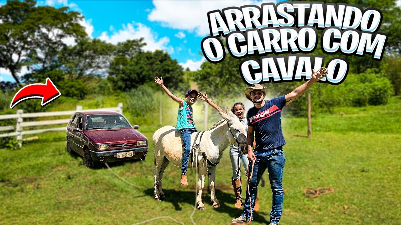 Motorista é flagrado puxando cavalo com corda ao lado de carro em