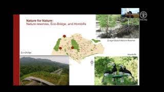 Urban greenery in Singapore: A “Nature futures” perspective