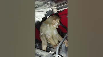 #myfirstvlog #firstvlog #vlog #myfirstblog #myfirstvlogtoday #my_first_vlog #myfirstvlog2023 #my