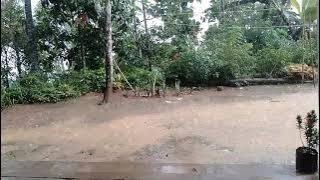 suara hujan 1 menit penghantar tidur