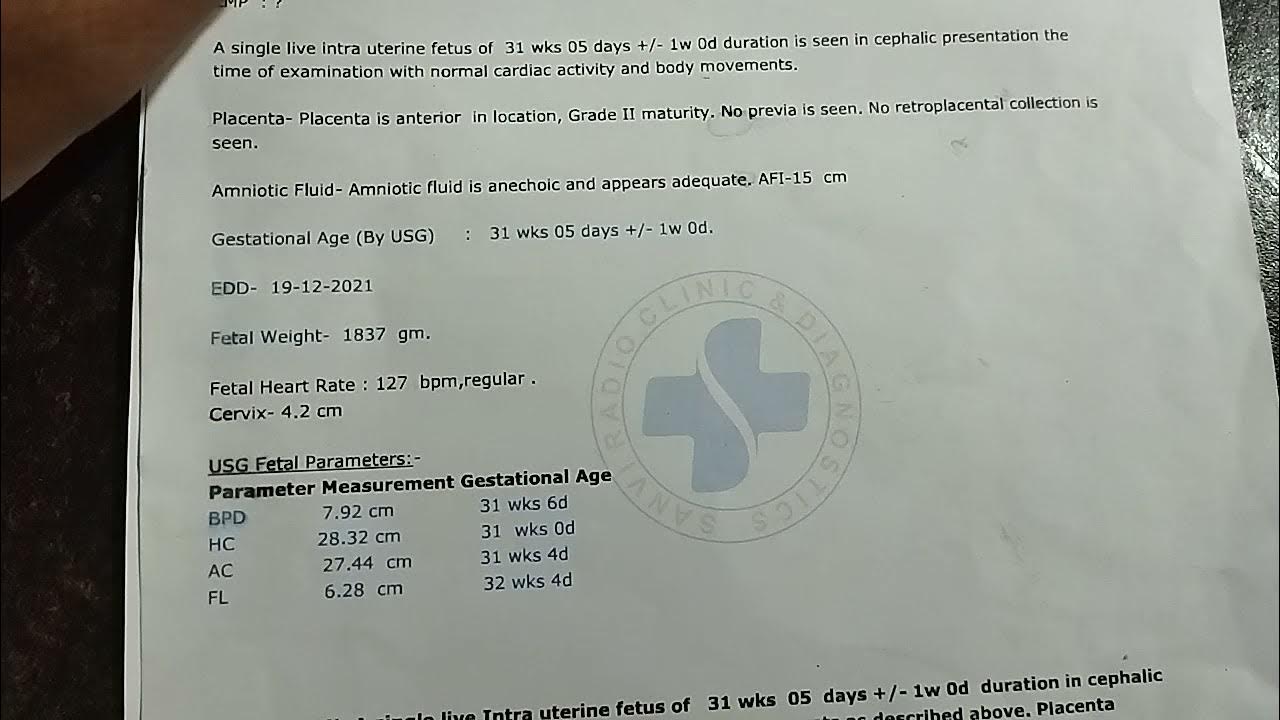 how to read ultrasound report in pregnancy / FWB ultrasound report