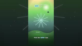 The Genius Design Behind Spider Webs #science #technology #biology #astronomy #nature #brain