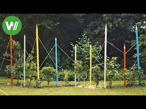 Video: Wie Man Ein Kind Einer Gruppe Im Garten Vorstellt