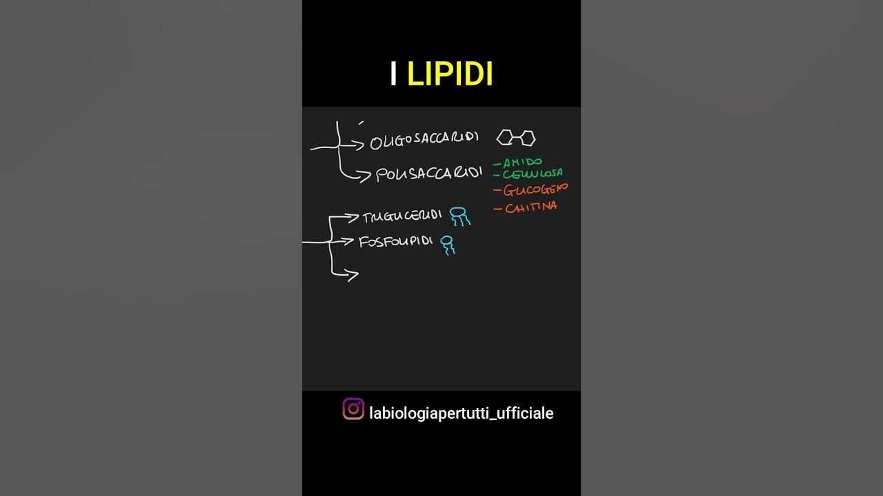 Cosa Sono I Lipidi Nel Sangue Cosa sono i LIPIDI? #shorts - YouTube