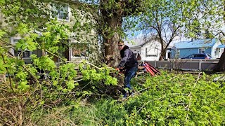 A FREE MultiDay CLEANUP Left This Family SPEECHLESS But I Suprised Them With Even MORE