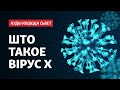 Як рыхтавацца да новай пандэміі. Тлумачыць дасьледчыца вірусаў