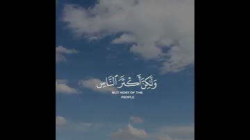 سورة غافر | القارئ محمود الحصري