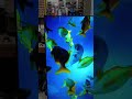 Tv Samsung UN60AU7700 display ruim 