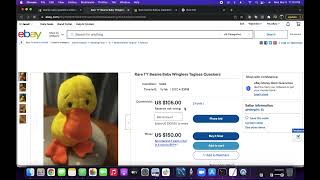 Download Lagu Researching the very rare Ty Beanie Baby Quackers (Without Wings) MP3 Download Lagu Researching the very rare Ty Beanie Baby Quackers (Without Wings) MP3